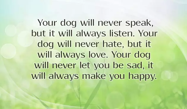 Congratulations On New Dog Congratulations On New Dog