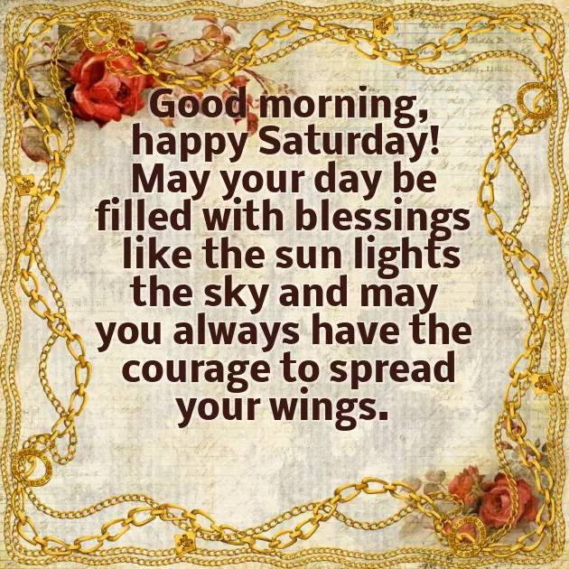 Saturday Funny Greetings Saturday Funny Greetings