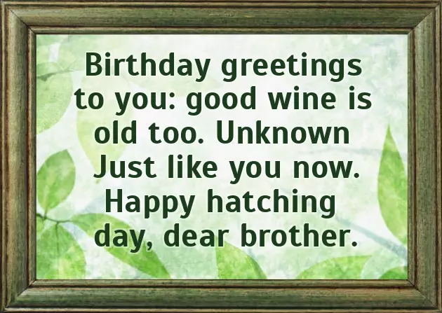 Little Brother Happy Birthday Wishes