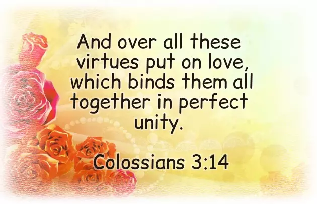 Wedding Anniversary Bible Quotes