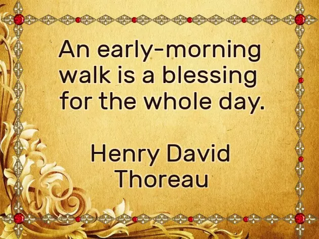 Wishing Someone A Good Day Quotes