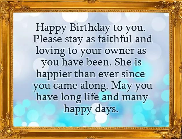 Birthday Wishes From Dog Birthday Wishes From Dog