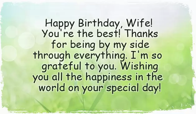 Happy Birthday Wishes From Wife Happy Birthday Wishes From Wife