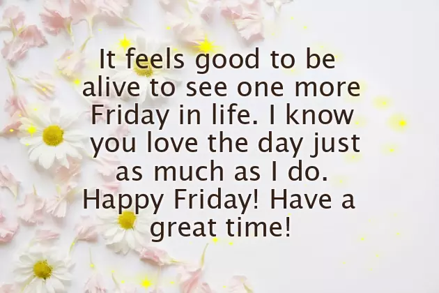 Friday Funny Greetings