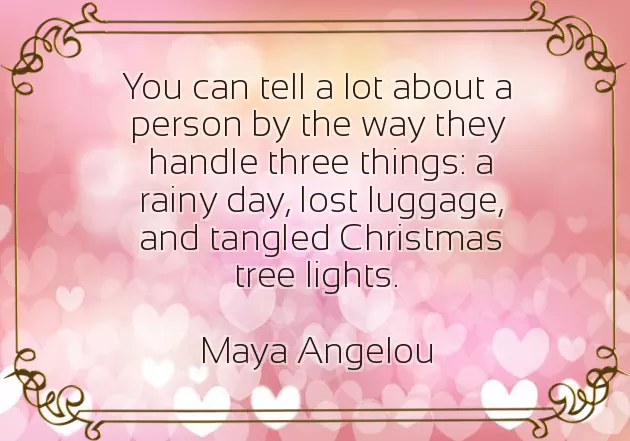 Merry Christmas Happy Holidays Quotes