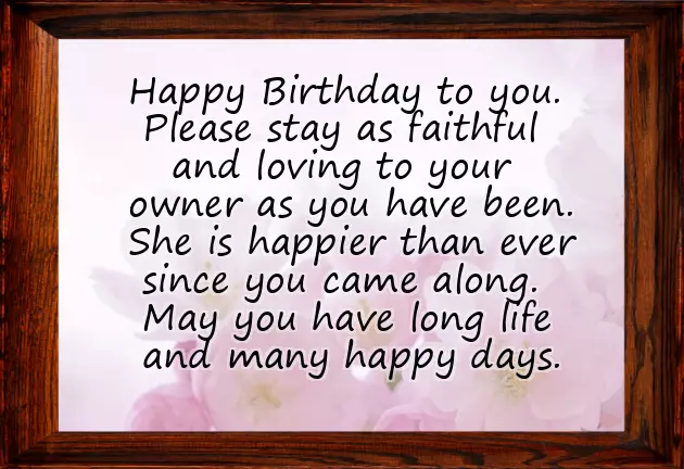 Dogs Birthday Wishes