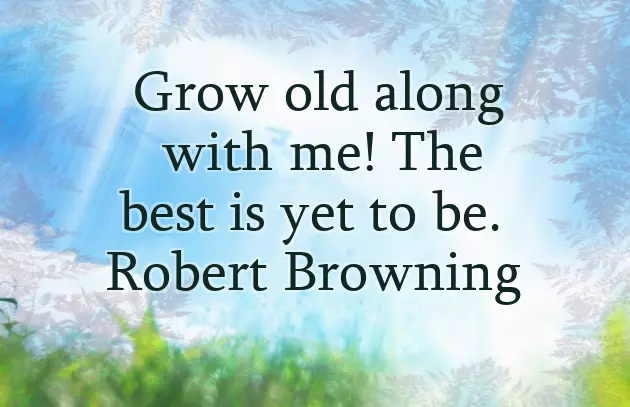 I Do Quotes Wedding I Do Quotes Wedding