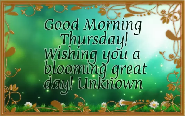 Good Morning Thursday Hd