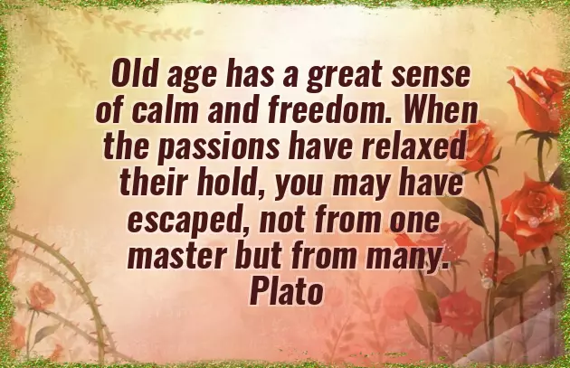 Wishing You A Day Filled With Happiness And A Year Filled With Joy Wishing You A Day Filled With Happiness And A Year Filled With Joy