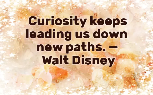 Curiosity Quotes
