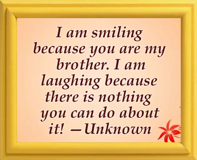 Quotes For Brother Birthday Wishes