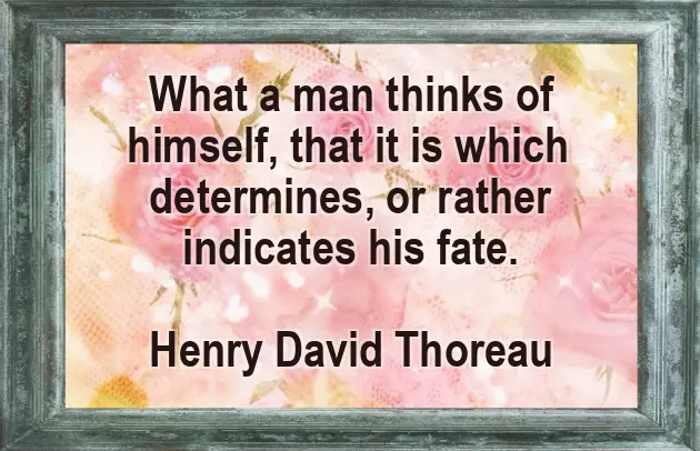 Value Quotes Value Quotes