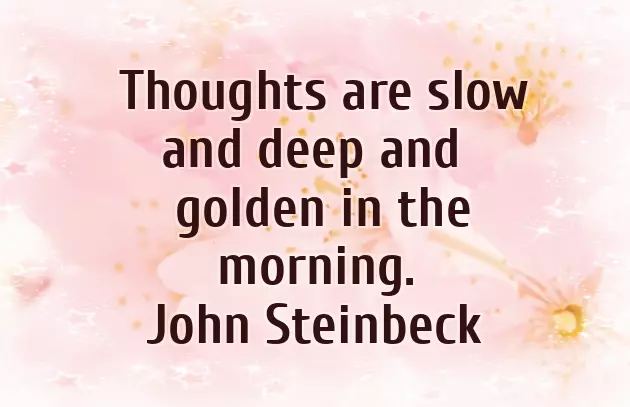 Good Evening Quotes In English Good Evening Quotes In English