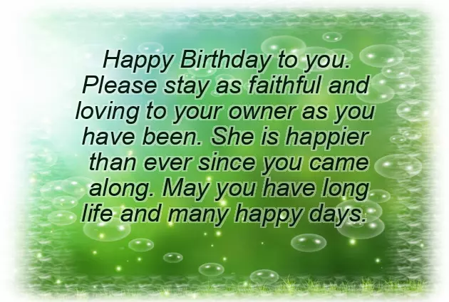 Birthday Wishes For Dog Birthday Wishes For Dog