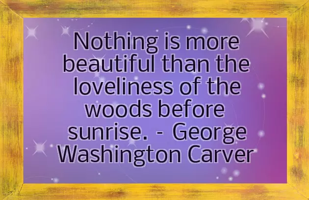 Good Morning Warm Wishes Good Morning Warm Wishes