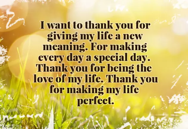 Good Night Night Love Good Night Night Love