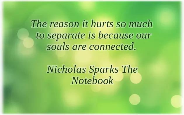 Have A Nice Trip And Safe Journey Have A Nice Trip And Safe Journey