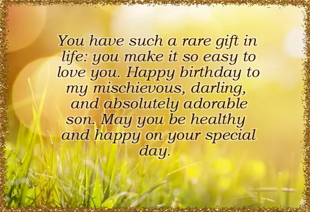 Birthday Wishes Text Birthday Wishes Text
