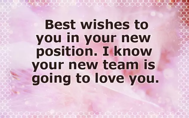 Congratulate Your Boss On Promotion Congratulate Your Boss On Promotion